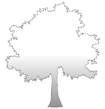 TREE SILOUT