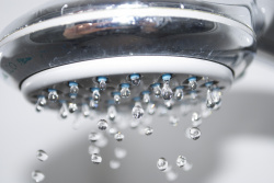 shower_head