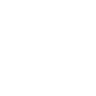 police badge